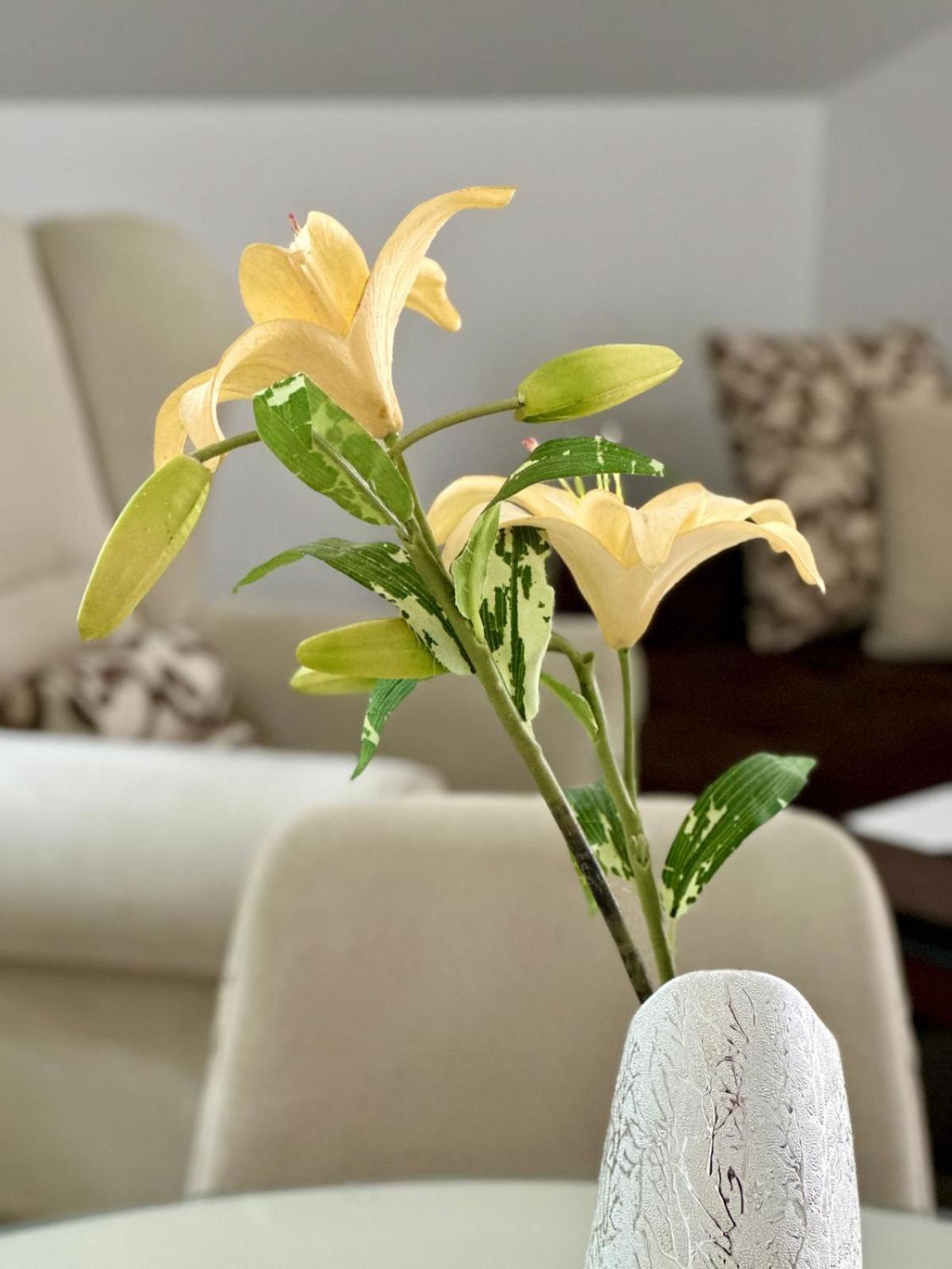 Apartments Teodo Екстер'єр фото