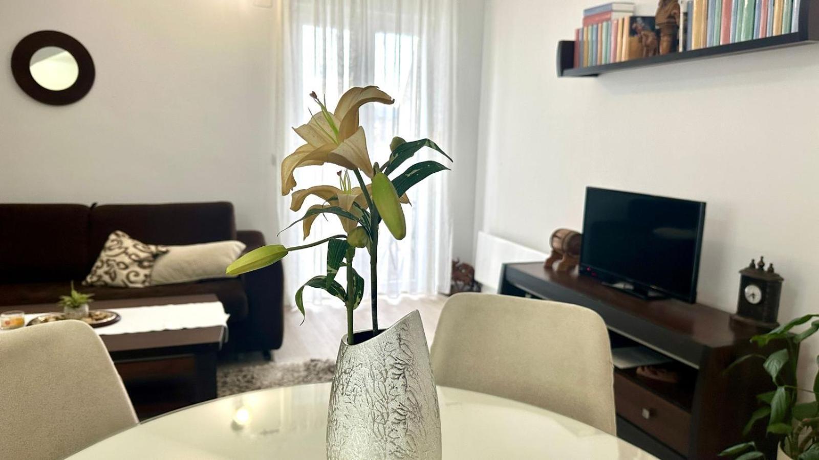 Apartments Teodo Екстер'єр фото